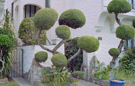 How to Scan Film with a DSLR: A Complete Step-by-Step Guide - Cassette Film