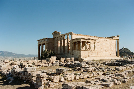 Cassette Film vs Negative Supply : Best DSLR film holder for scanning